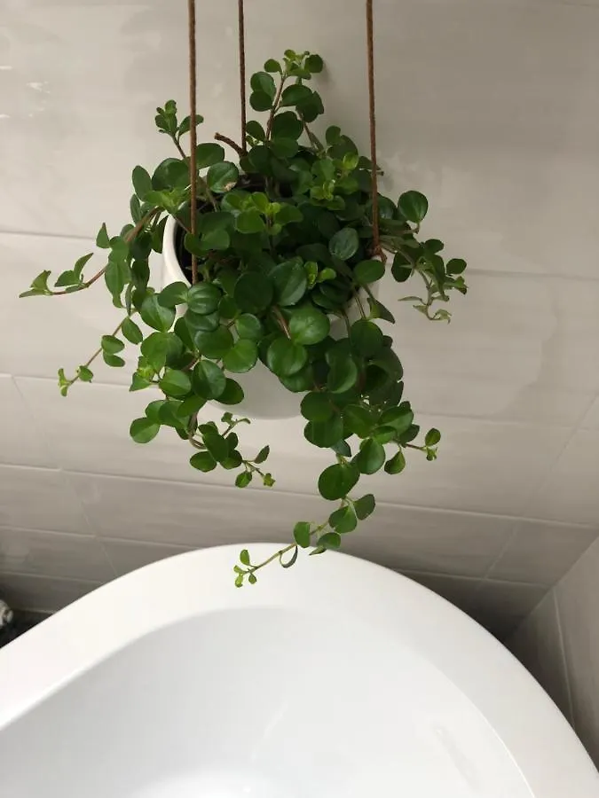 Apartment Gattaglio 22 Guest House Reggio Emilia Italy